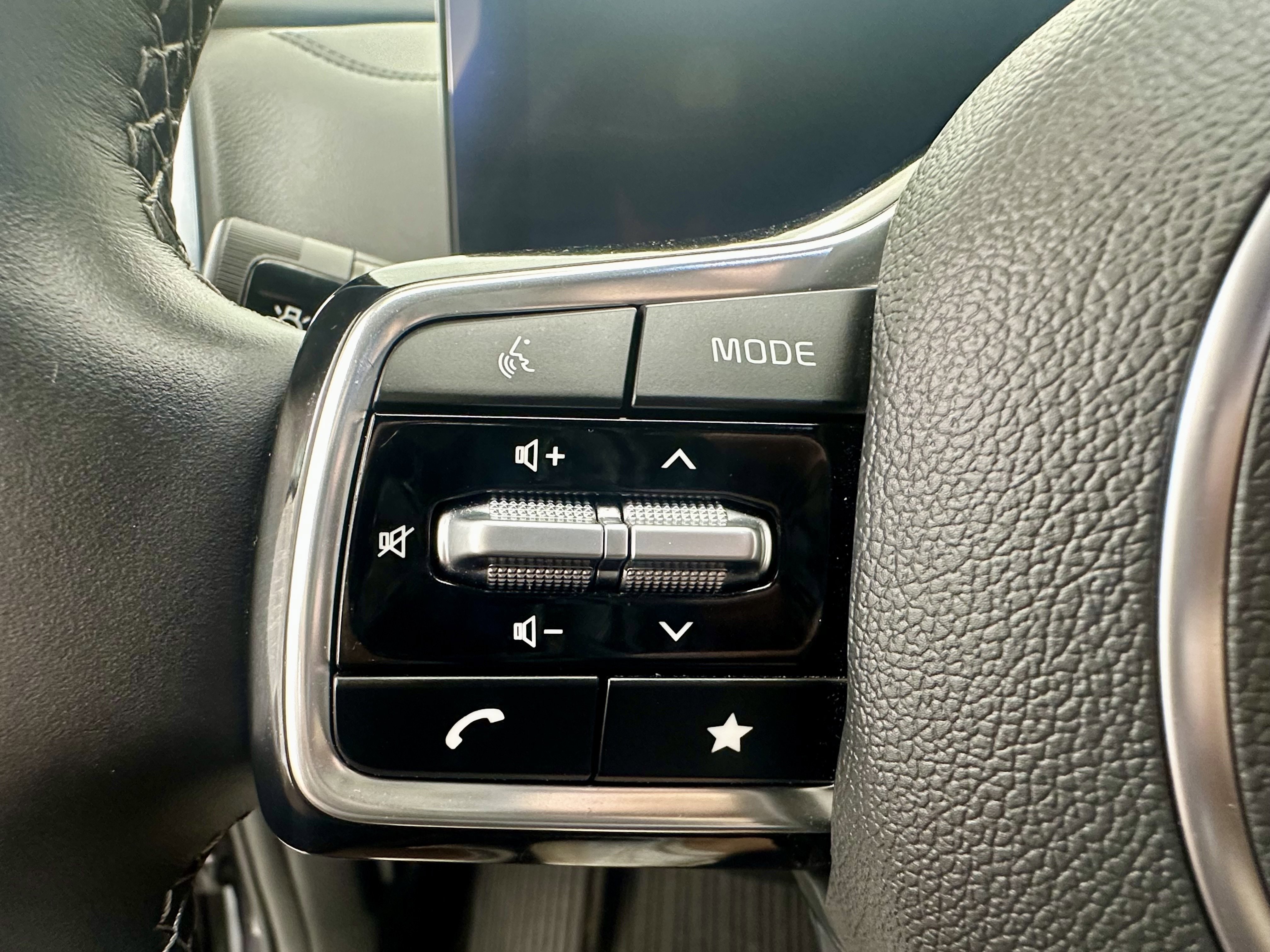 Used 2025 Panthera Metal Kia X-Line SX Prestige image 13