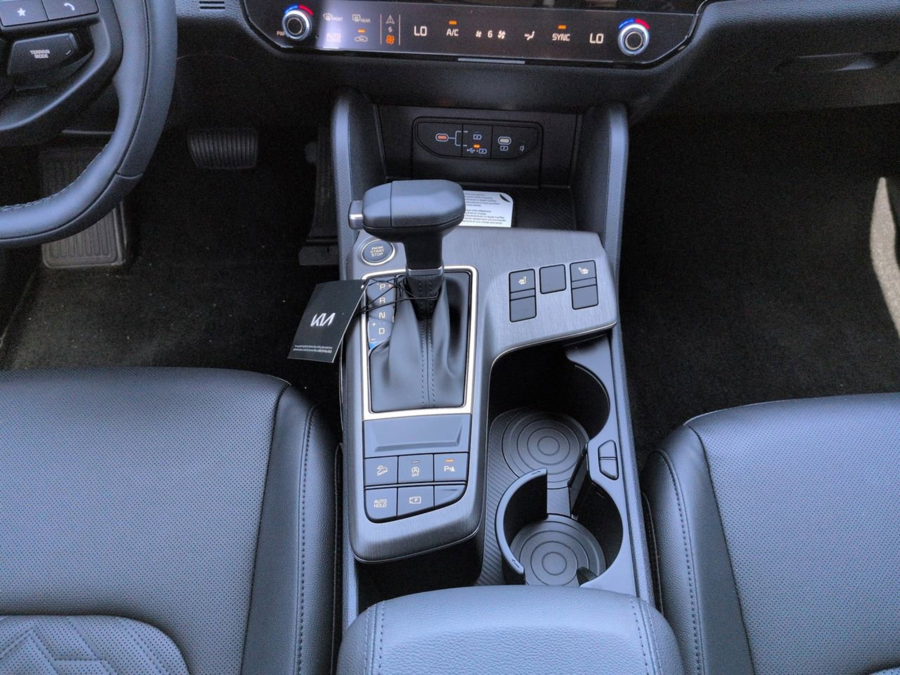 New 2026 Panthera Metal Matte Kia X-Line image 15