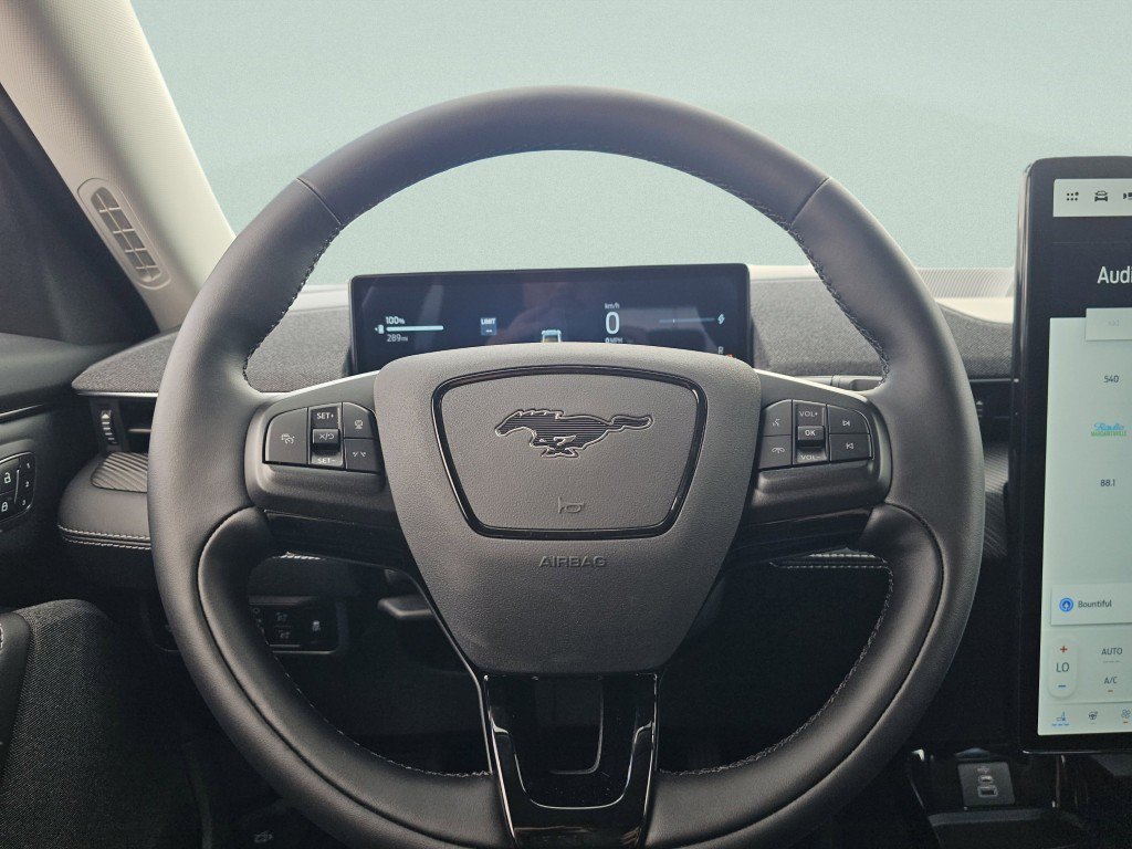 New 2026 Eruption Green Metallic Ford Premium image 29