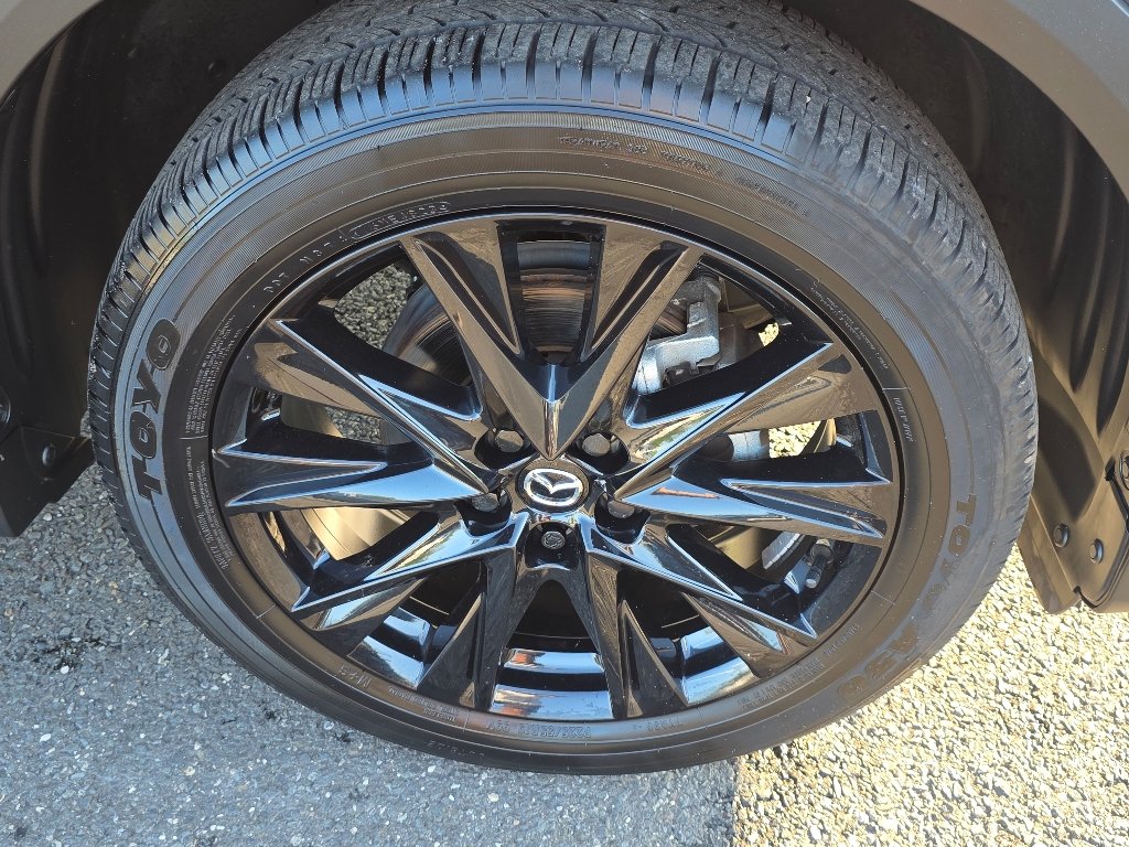 Photo 19
