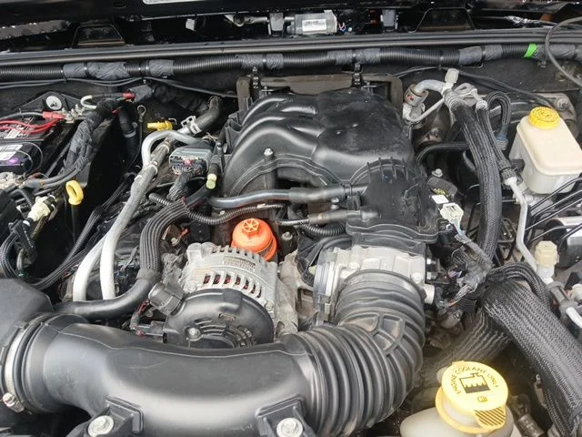 Photo 44