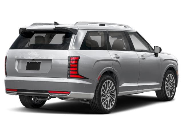 New 2026 Typhoon Silver Metallic Hyundai Calligraphy image 16