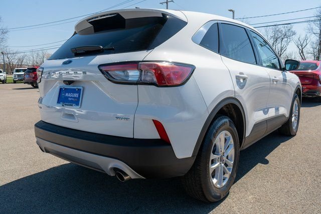 Used 2022 Oxford White Ford SE image 6