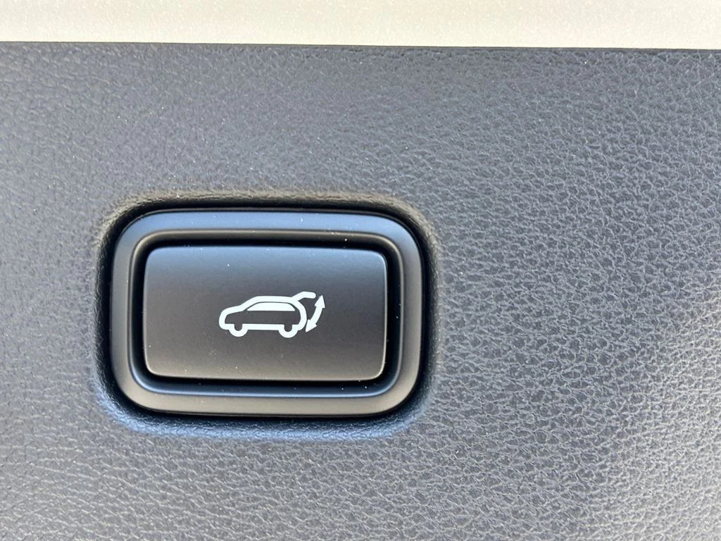 New 2026 Black Kia X-Line image 19