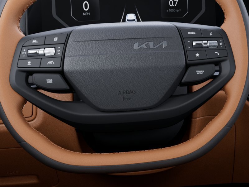 New 2026 Panthera Metal Matte Kia X-Line image 22