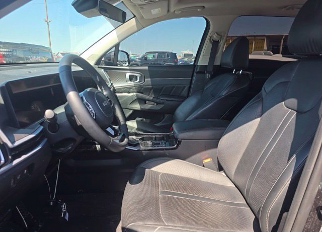 Used 2025 Panthera Metal Kia SX image 8