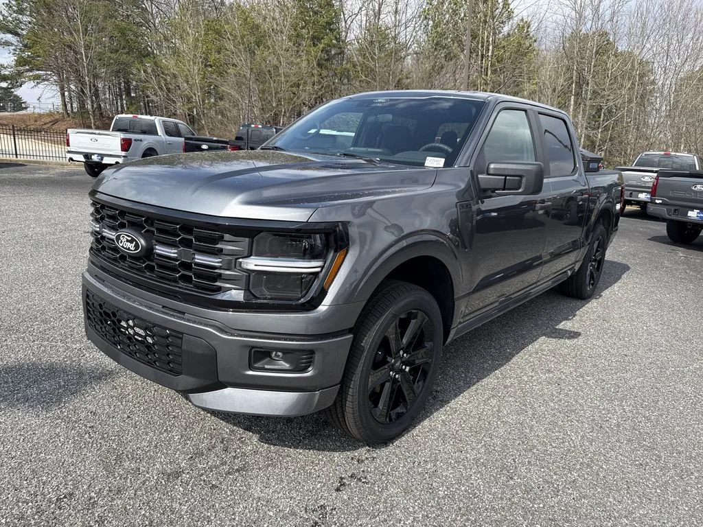 New 2026 Gray Ford STX image 3