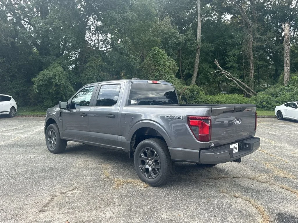 New 2026 Gray Ford STX image 5
