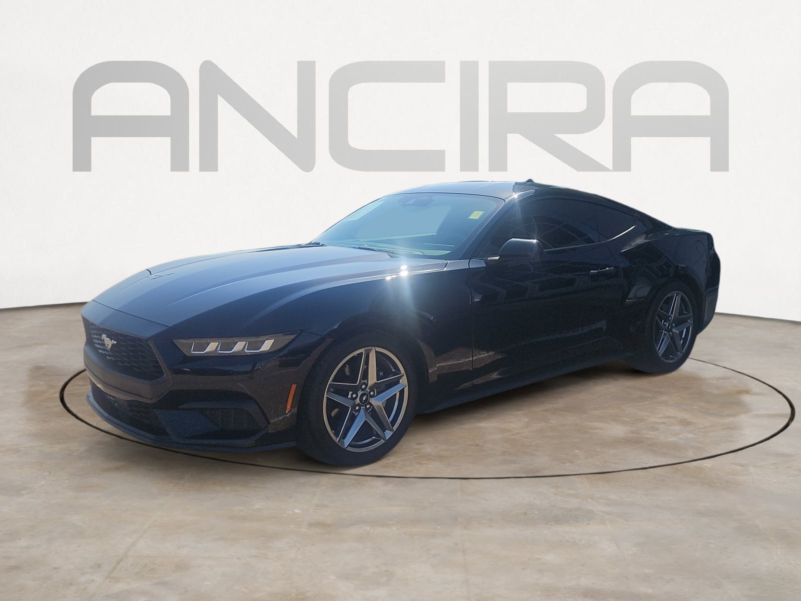 Used 2024 Shadow Black Ford EcoBoost image 4