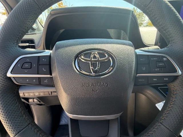 New 2026 Midnight Black Metallic Toyota Platinum image 10