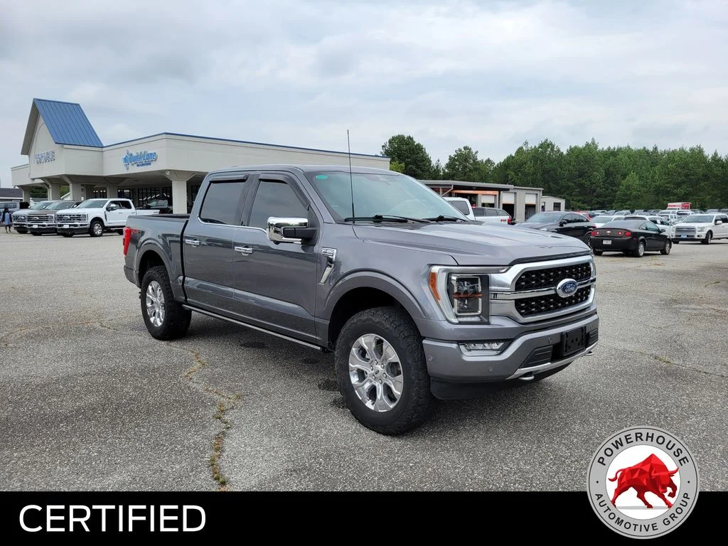 Used 2023 Gray Ford Platinum image 9