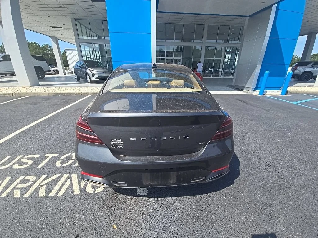 Used 2022 Himalayan Gray Genesis 3.3T image 13