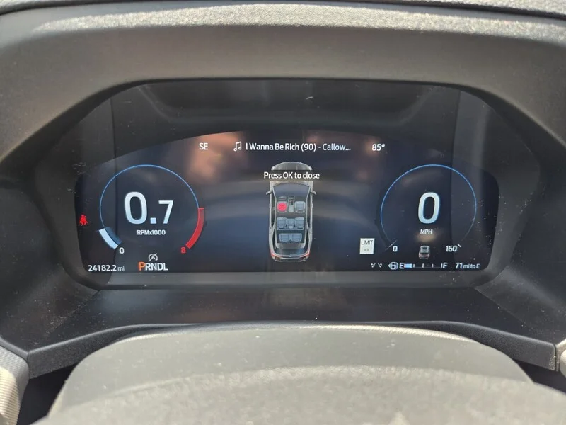 Used 2025 Gray Metallic FORD ACTIVE 4WD image 30