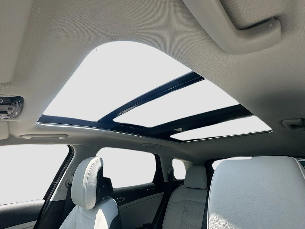 New 2026 Panthera Metal Kia SX Prestige image 23