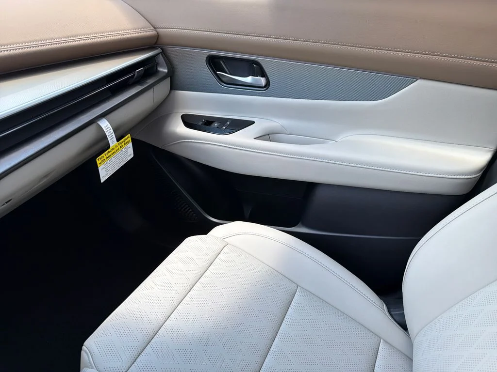 New 2026 Super Black Nissan Platinum image 30