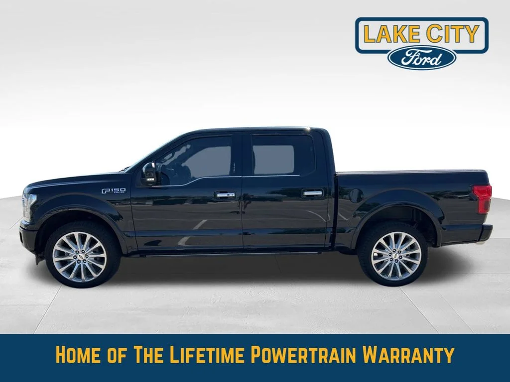 Used 2019 Ford F-150 Limited with VIN 1FTEW1EG1KFB30479 for sale in Lake City, Minnesota