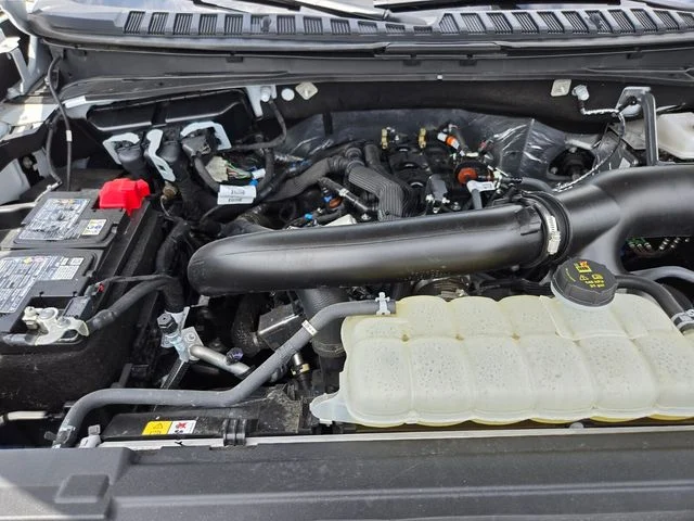 Used 2025 White Ford Active image 23