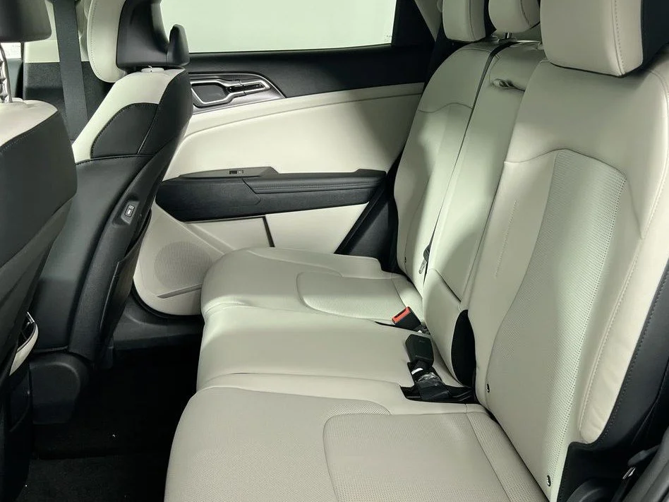 New 2026 Panthera Metal Kia EX image 26