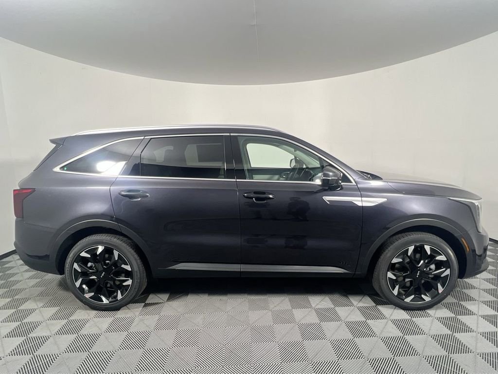 New 2026 Panthera Metal Kia EX image 2