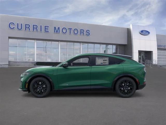 New 2026 Eruption Green Metallic Ford Premium image 25