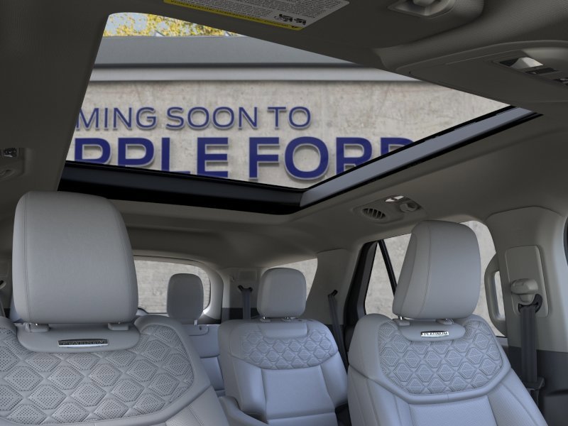 New 2026 Black Ford Platinum image 22