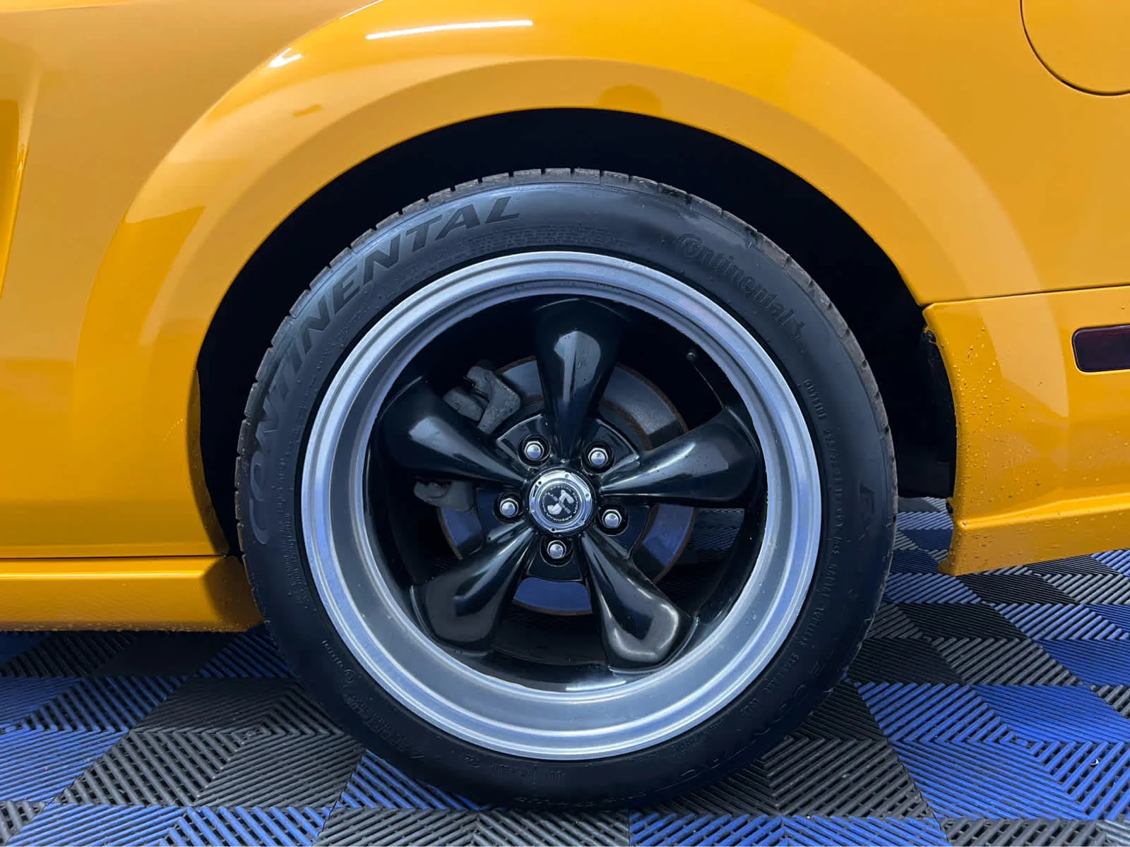 Used 2008 Grabber Orange Ford GT Premium image 14