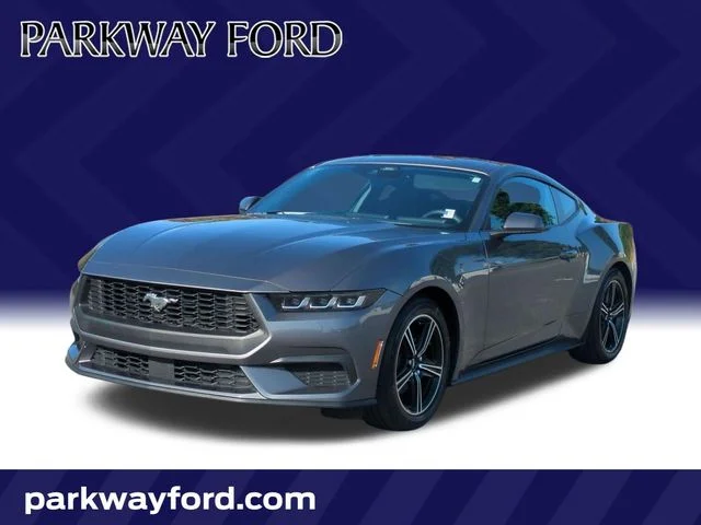 Used 2024 Gray Ford EcoBoost image 1