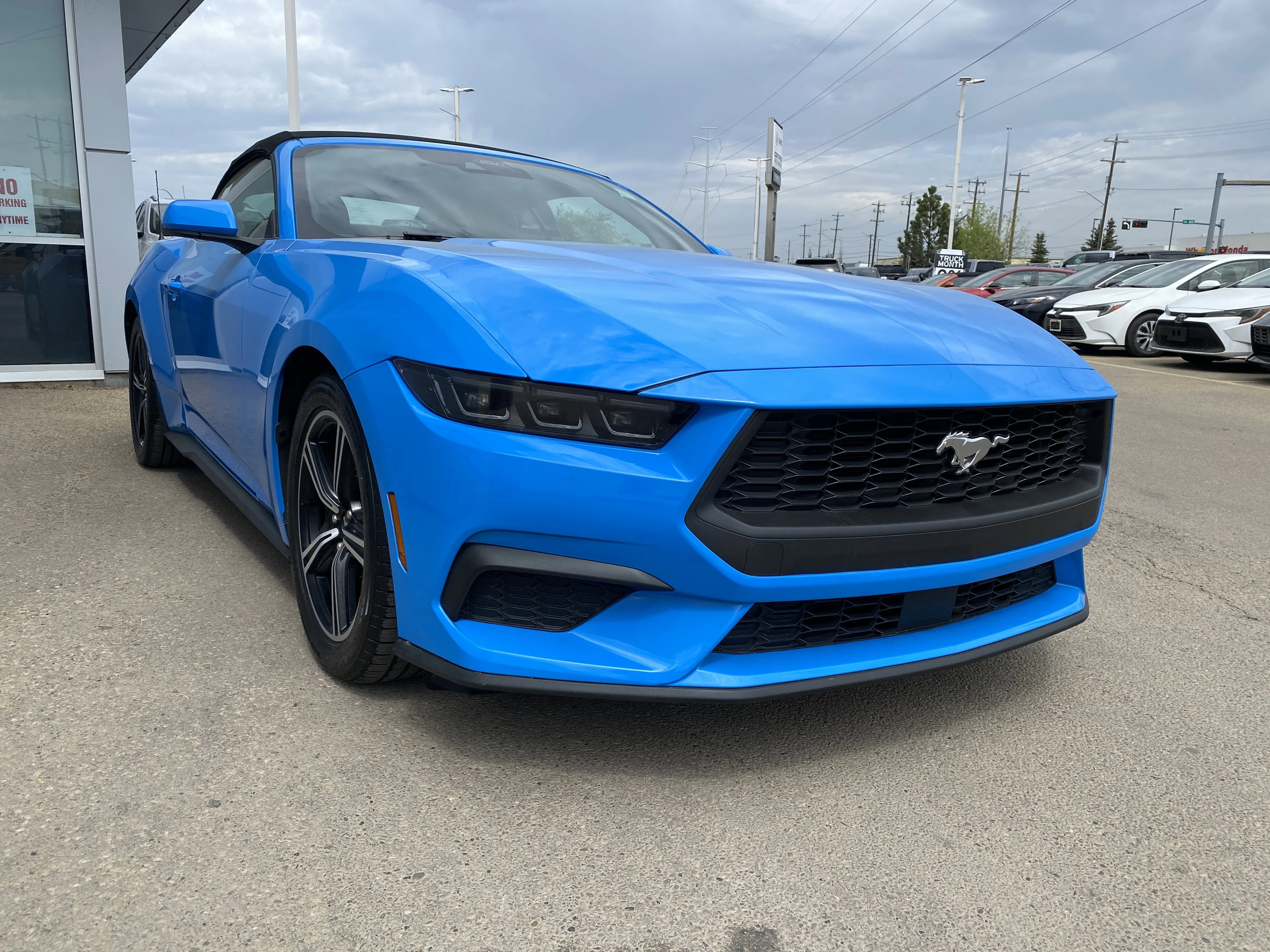 Certified Used 2025 Blue Ford EcoBoost Convertible * AUTO HIGH BEAM * BLIND SPOT MONITORING * image 6