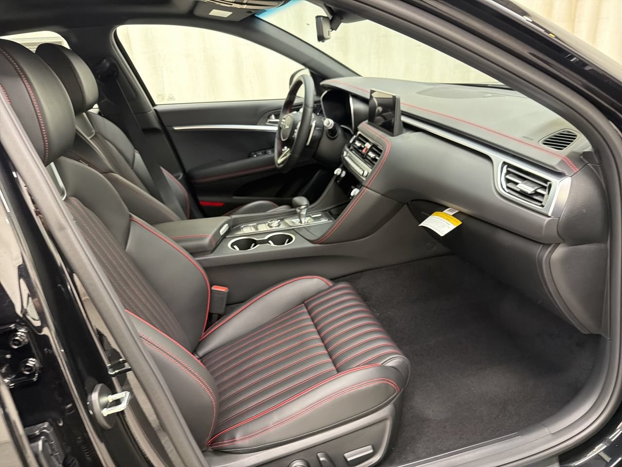 New 2027 Vik Black Genesis Standard image 15