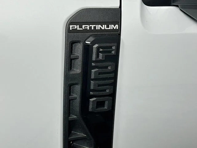 New 2026 White Ford Platinum image 27