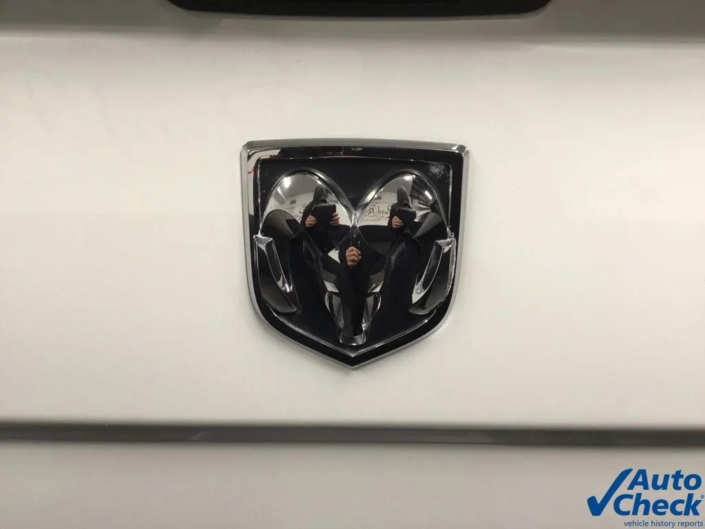 Used 2016 White Ram Tradesman image 17