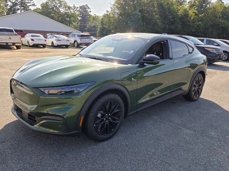 New 2026 Eruption Green Metallic Ford Select image 3