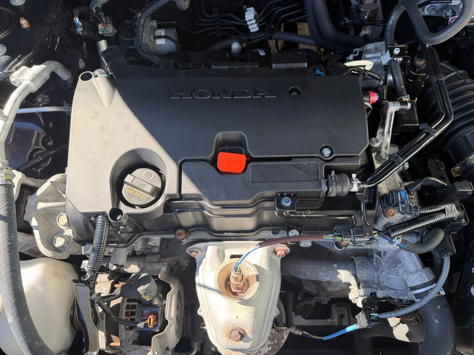 Used 2025 Crystal Black Pearl Honda Sport image 7