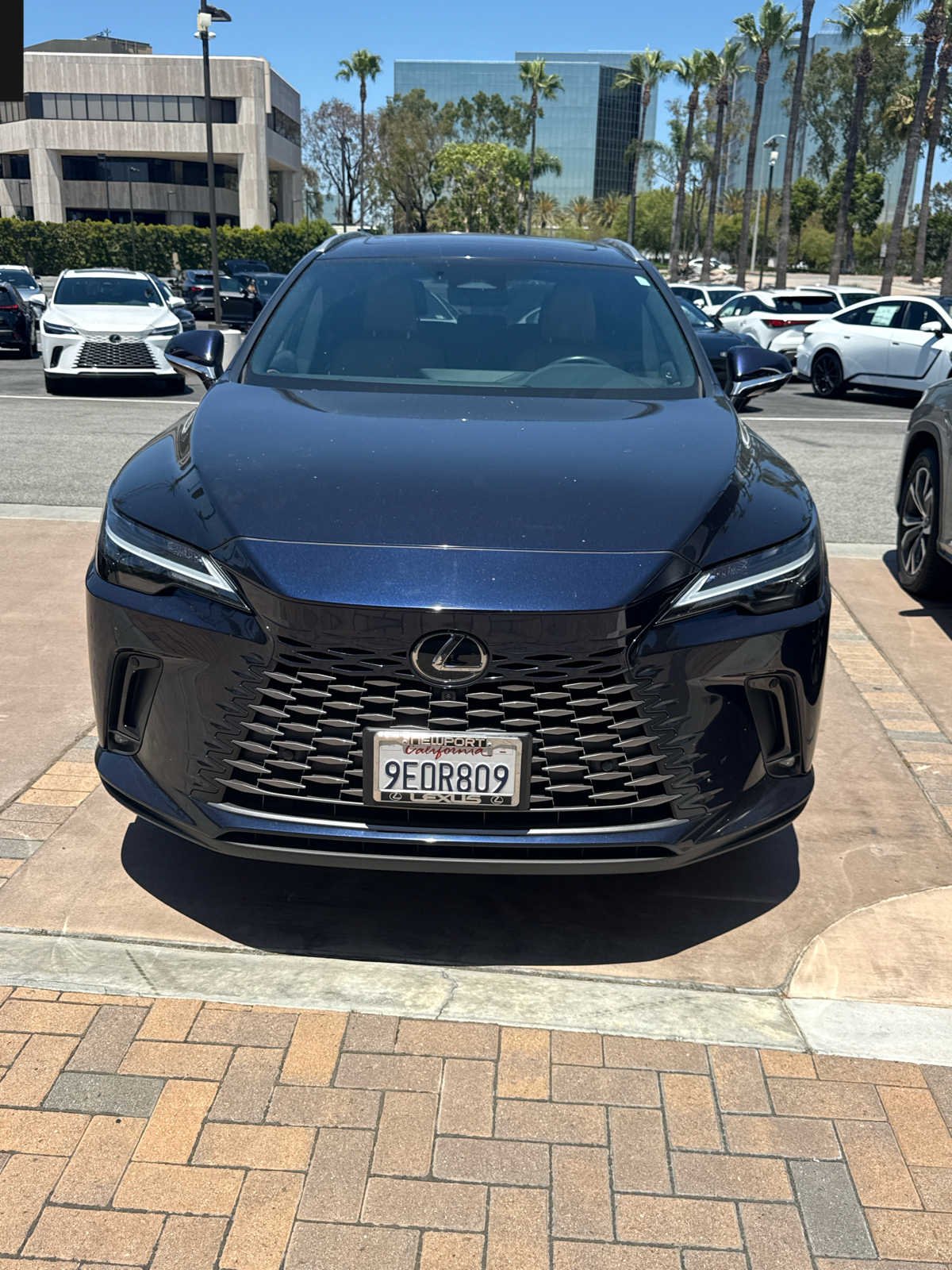2023 Lexus RX 350 Premium