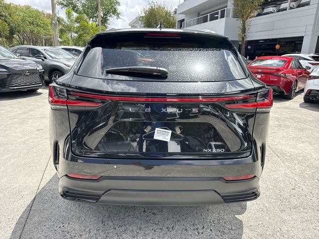 2025 Lexus NX 250 - Photo 24