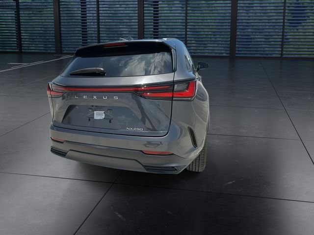 Certified Used 2025 CLOUDBURST GRAY Lexus 250 image 7