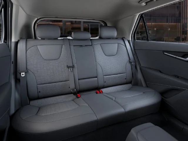 New 2026 Black Kia Wave image 16