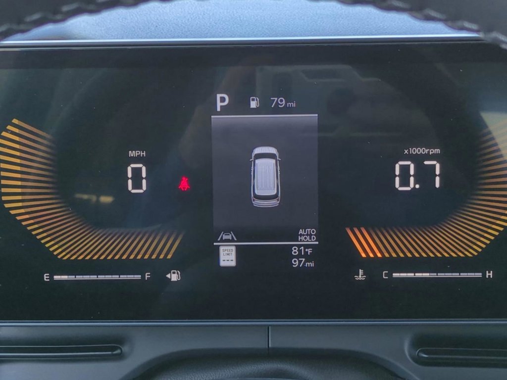 New 2026 Panthera Metal Kia LXS image 31