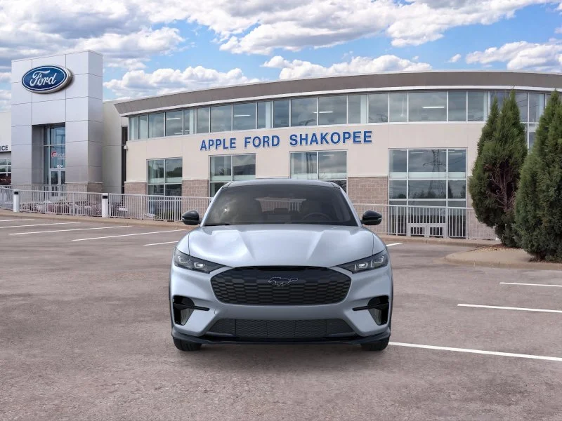 New 2026 Gray Ford Premium image 29