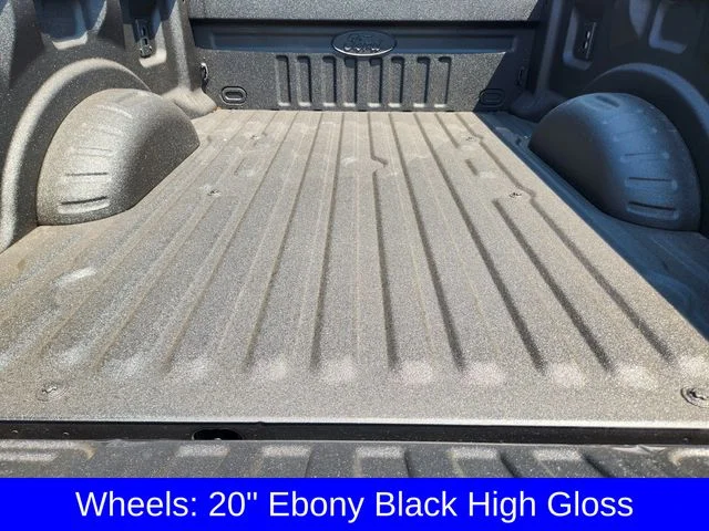 New 2026 Carbonized Gray Metallic Ford F-250® Lariat® image 33