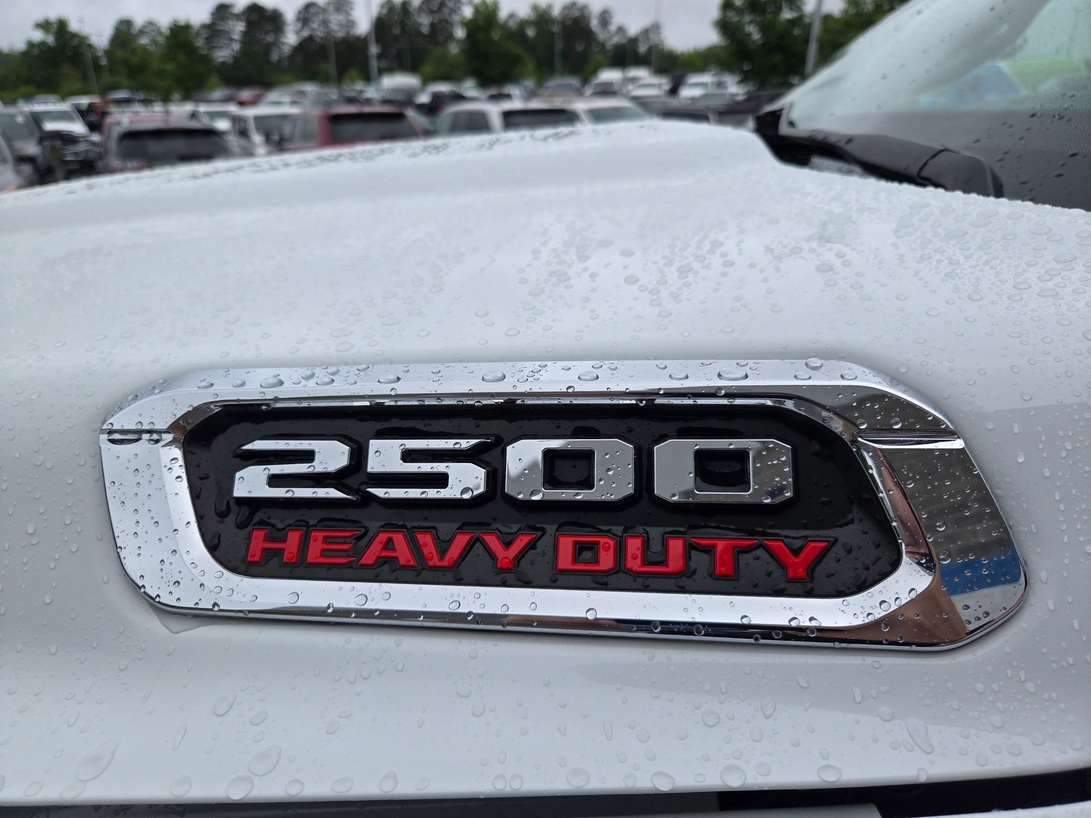 Used 2024 Bright White Clearcoat RAM Big Horn image 36