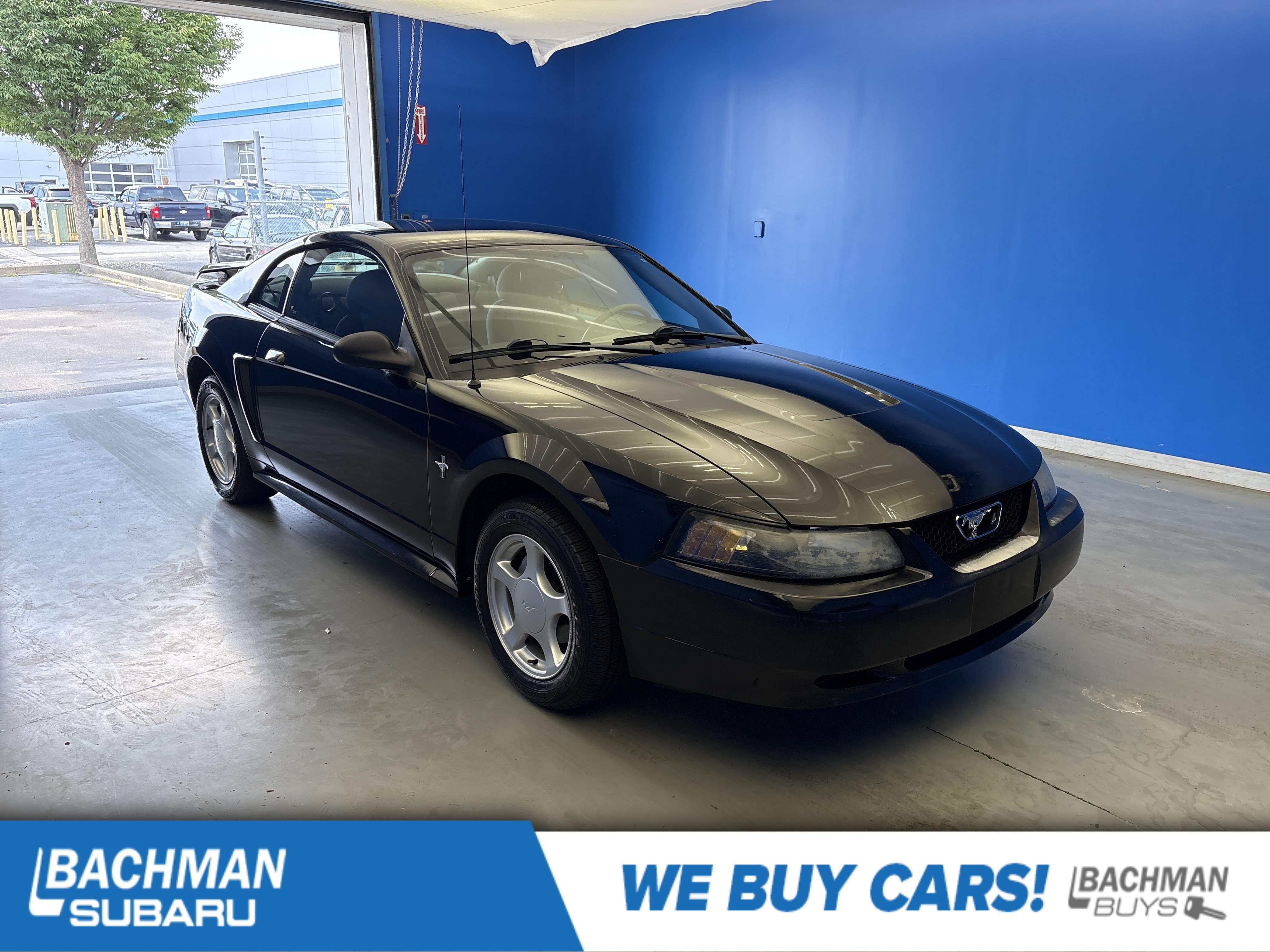 2003 Ford Mustang Standard's photo