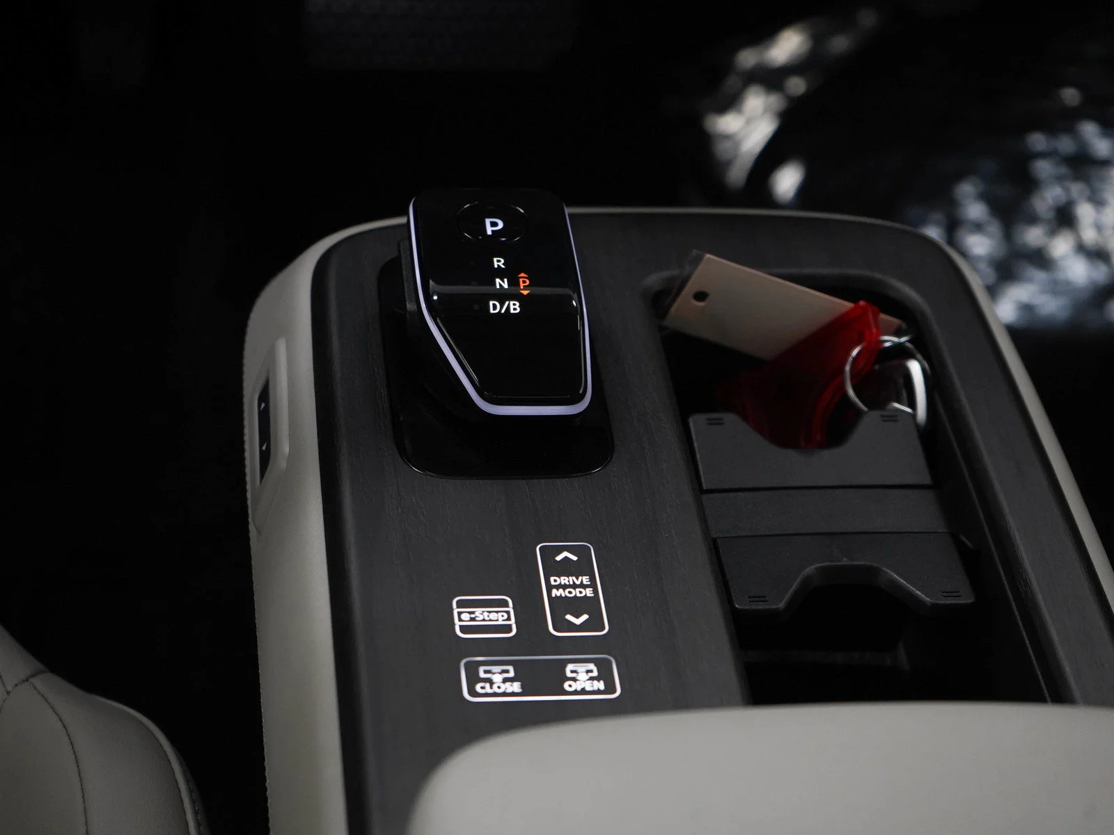Used 2024 Northern Lights Metallic Nissan EVOLVE+ image 20