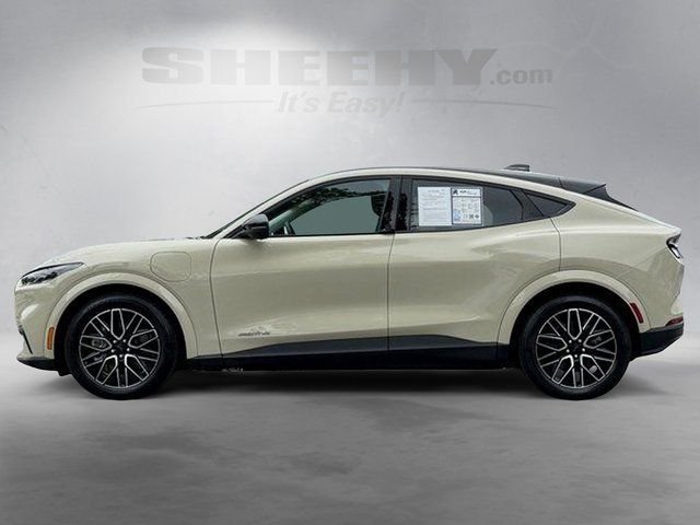 Used 2025 Beige Ford Premium image 12