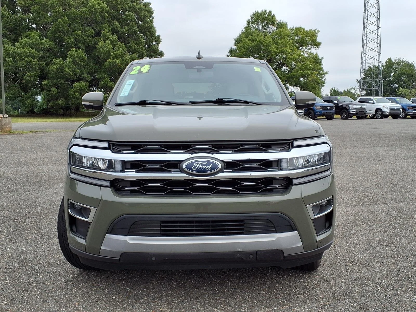 Used 2024 Wild Green Ford Limited image 10