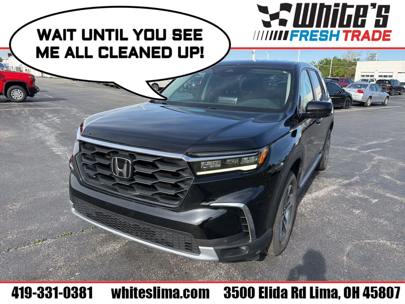 2023 Honda Pilot EX-L 8-Occupant AWD's photo