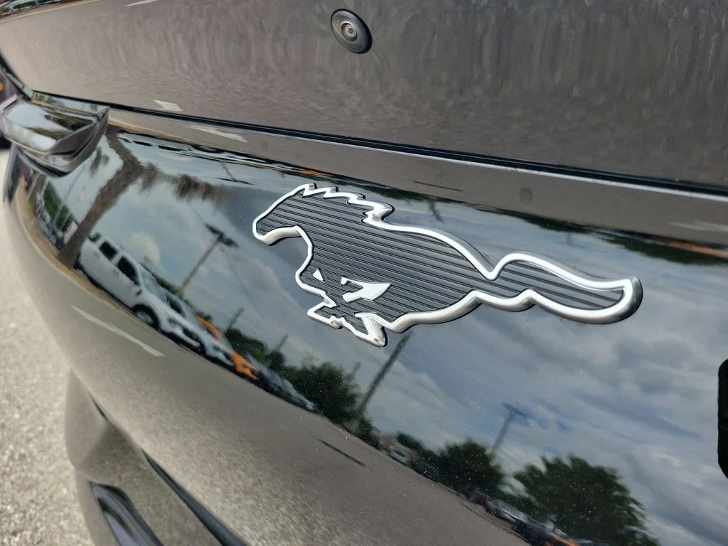 Used 2025 Black Ford Premium image 7