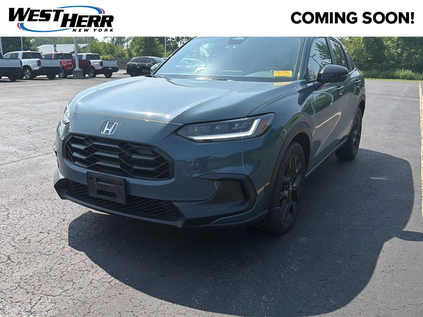 Used 2024 Nordic Forest Pearl Honda Sport image 1