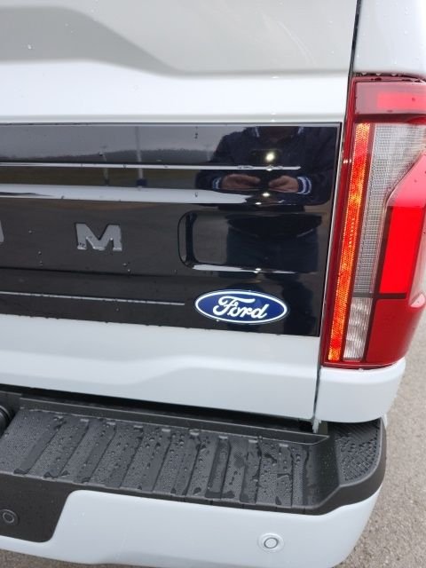 2025 Ford F-150 Platinum - Photo 16