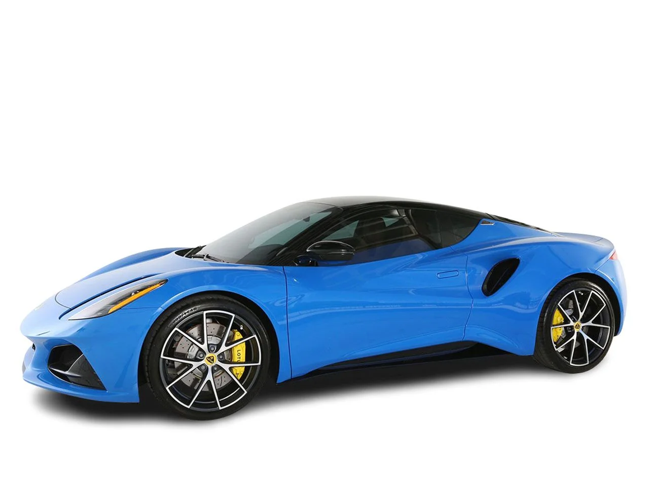 Used 2024 Blue Lotus  image 6